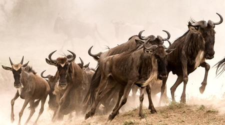 Eastern Africa