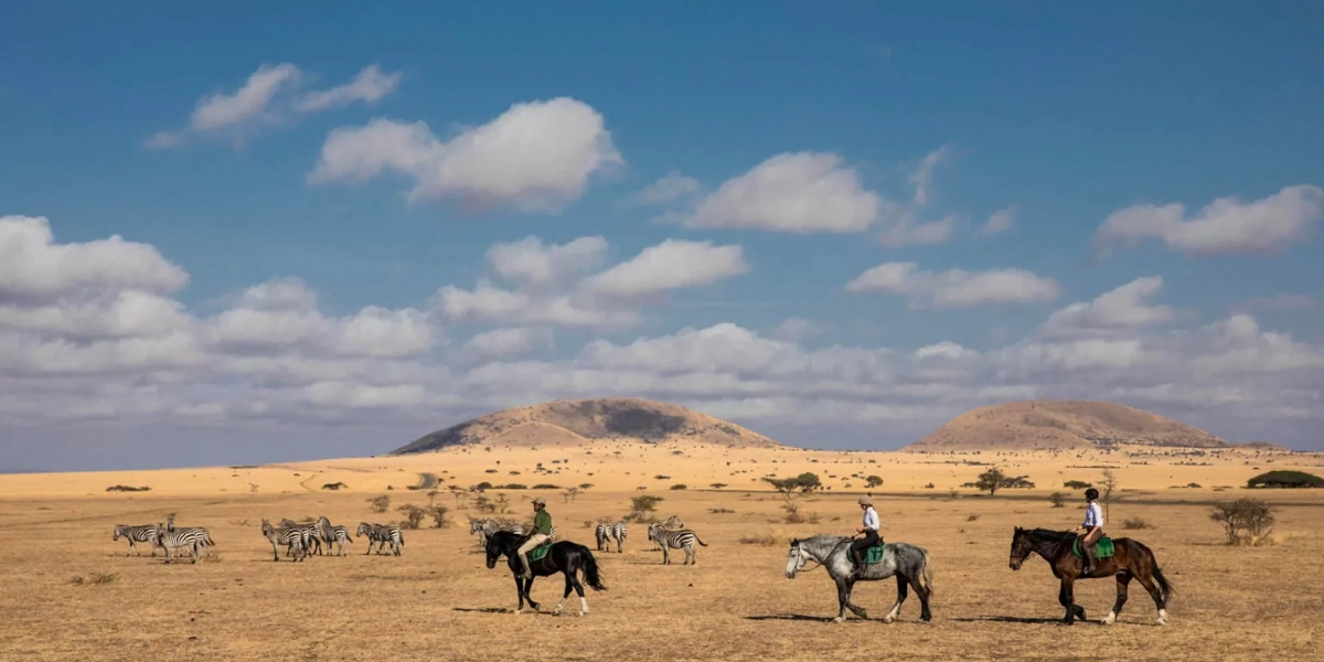 Chyulus Africa Experience Horse Back Safari